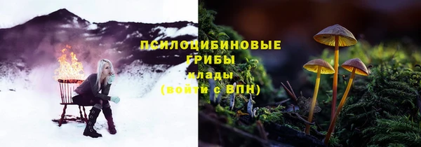 гашик Белокуриха