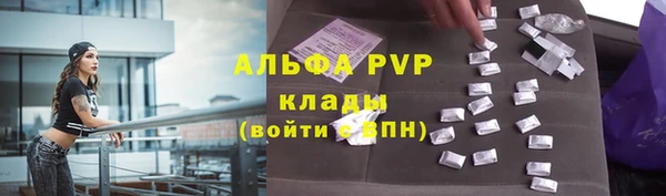 гашик Белокуриха